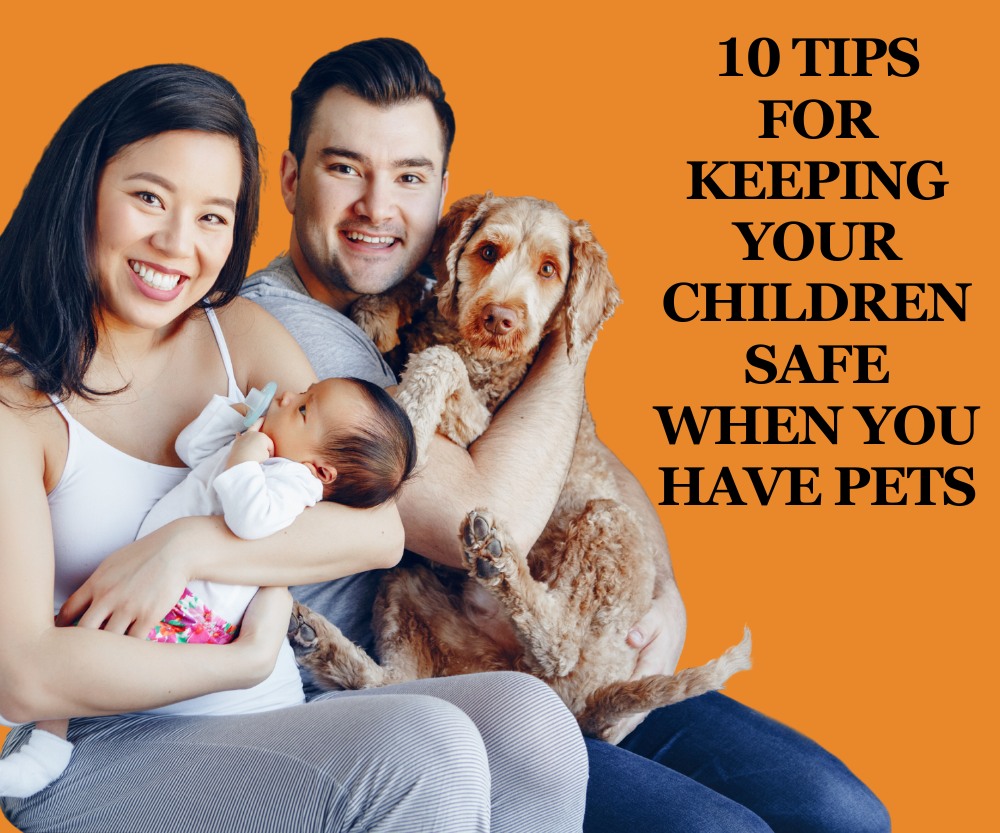 10 Tips for Keeping Your Children Safe When You Have Pets