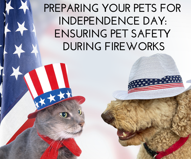 Preparing Your Pets for Independence Day: Ensuring Pet Safety During Fireworks