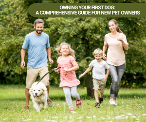 Owning Your First Dog A Comprehensive Guide for New Pet Owners