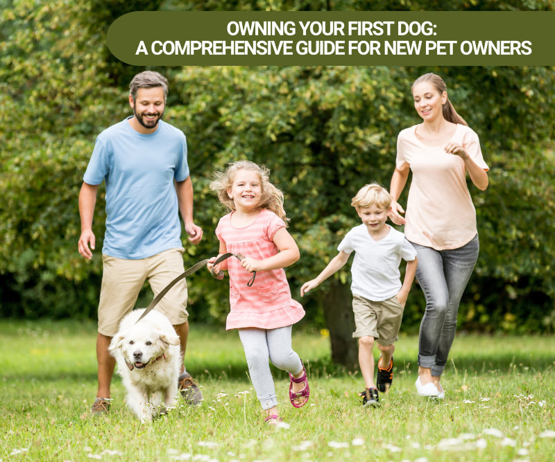 Owning Your First Dog: A Comprehensive Guide for New Pet Owners