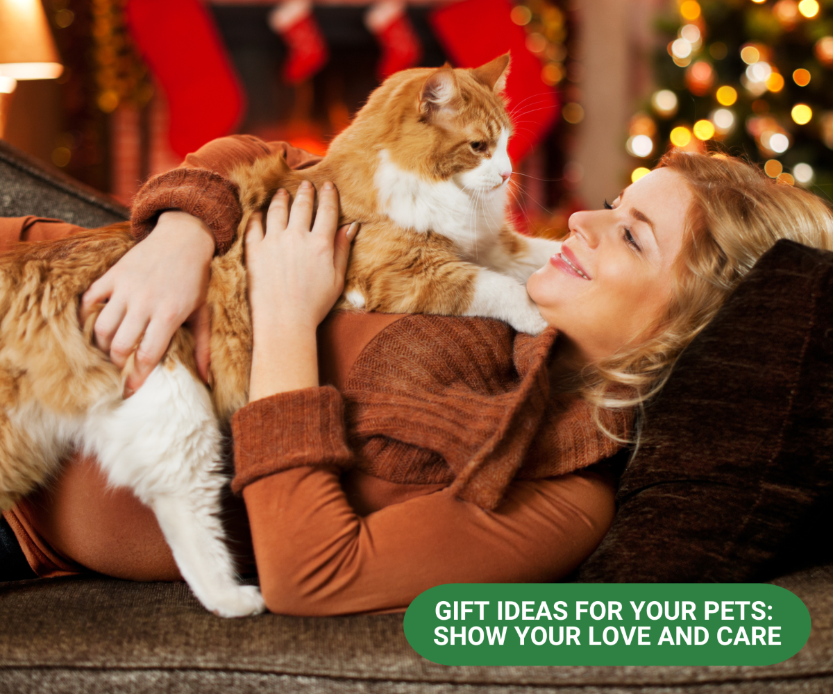 Gift Ideas for Your Pets: Show Your Love and Care