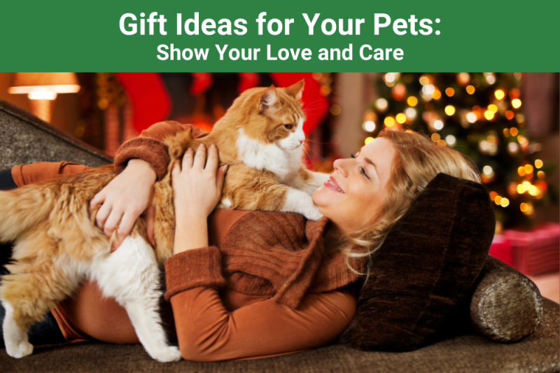 Gift Ideas for Your Pets: Show Your Love and Care - Veterinary Phoenix