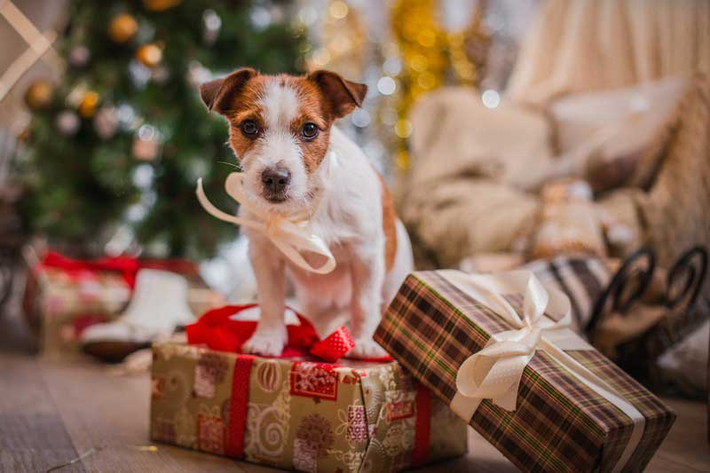 Holiday Safety in Phoenix, AZ