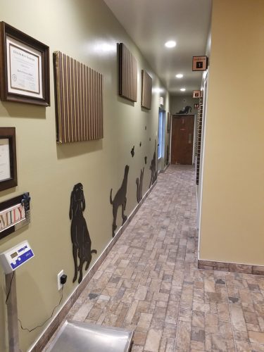 clinic-3